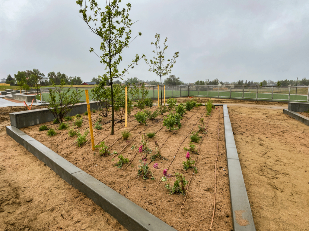 installed plants and a tree in a median at Panorama Park